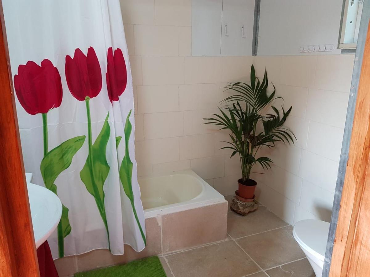 יורט מונגולי Apartment Matzuva Bagian luar foto